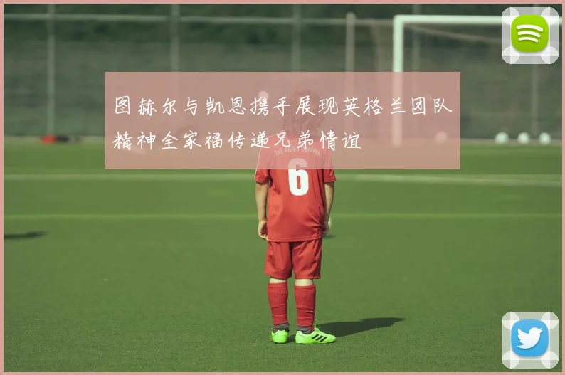 图赫尔与凯恩携手展现英格兰团队精神全家福传递兄弟情谊