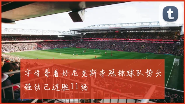 字母哥看好尼克斯夺冠称球队势头强劲已连胜11场