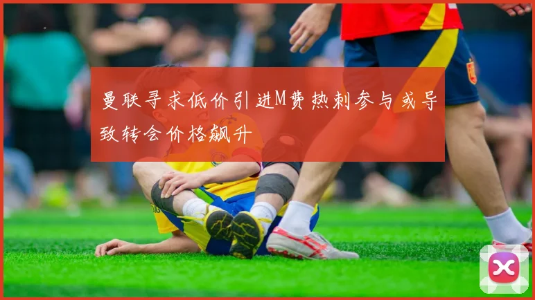 曼联寻求低价引进M费热刺参与或导致转会价格飙升