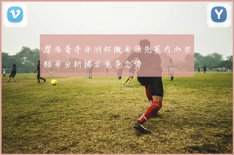 摩洛哥夺非洲杯概率领先塞内加尔赔率分析揭示竞争态势